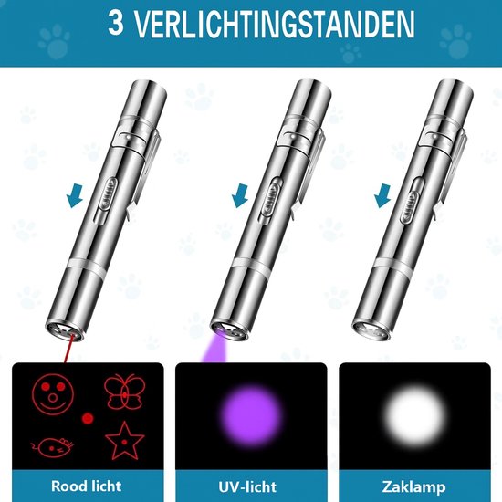 Zilveren laserpen in 3 verlichtingsstanden: rood licht met 5 patronen (ster, vlinder, smiley, muis), UV-licht en zaklamp.