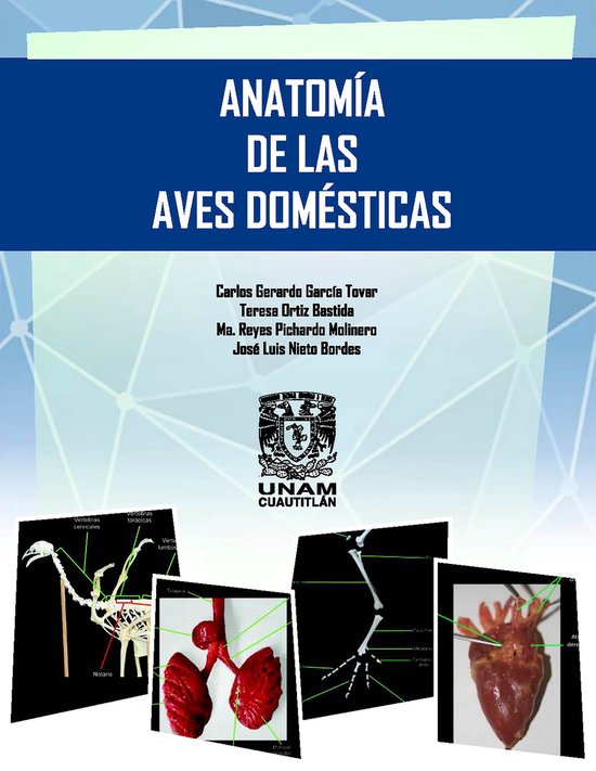 Anatomía de las aves domésticas - cover