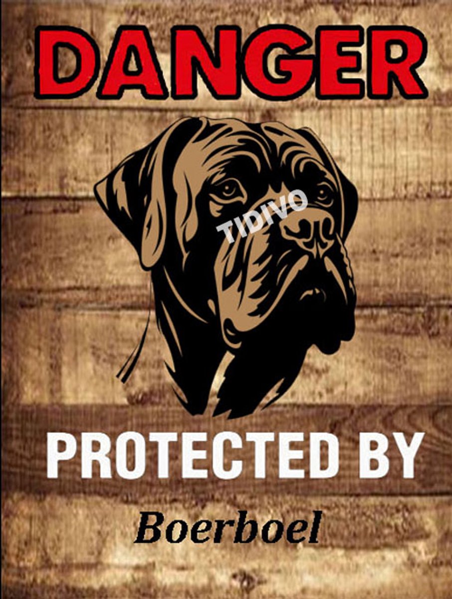 Boerboel 19