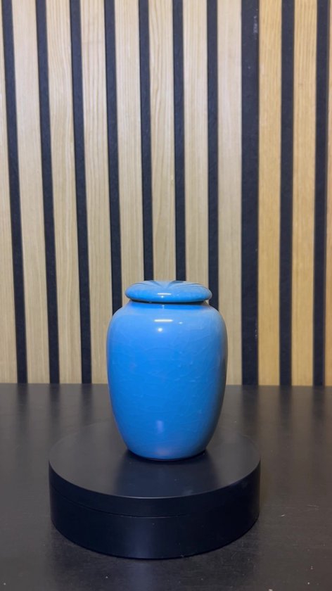 Luxe Begrafenis Urn 200 ML - Crematie Urn - Uniek - Voor Huisdieren of Menselijk As - Crematie As - Mini Urn - Decoratie Urn - Light Blue