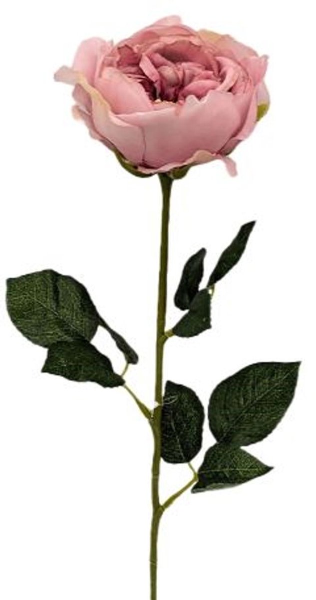 Buitengewoon de boet - Kunst engelse roos zalm roze, 59 cm