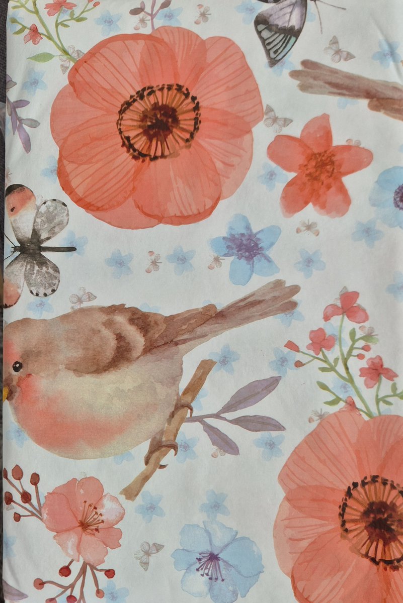 Tafelkleed Vinyl Vlinders en vogels en bloemen 200x140cm tafellaken wit roze pastel roodborstje