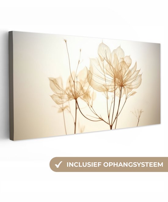 Canvas schilderij 160x80 cm - Wanddecoratie Droogbloemen - Beige - Planten - Wit - Muurdecoratie woonkamer - Slaapkamer decoratie - Kamer accessoires - Schilderijen op canvas