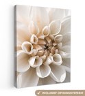 PDP.ProductImage.Thumb.Image.srtText 11