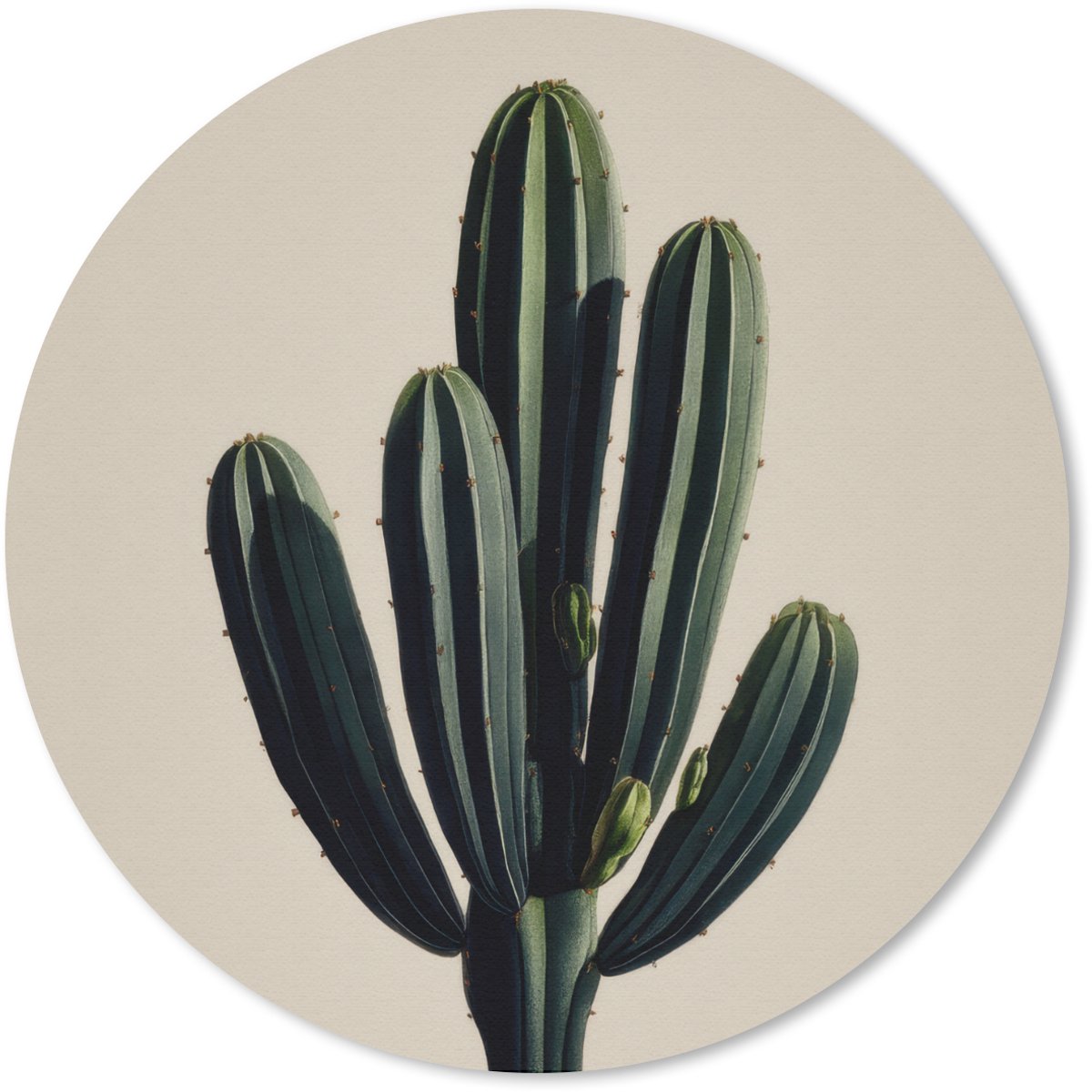 Muismat rond 20x20 cm - Mousepad Cactus - Subtiel - Groen - Ronde muismatten