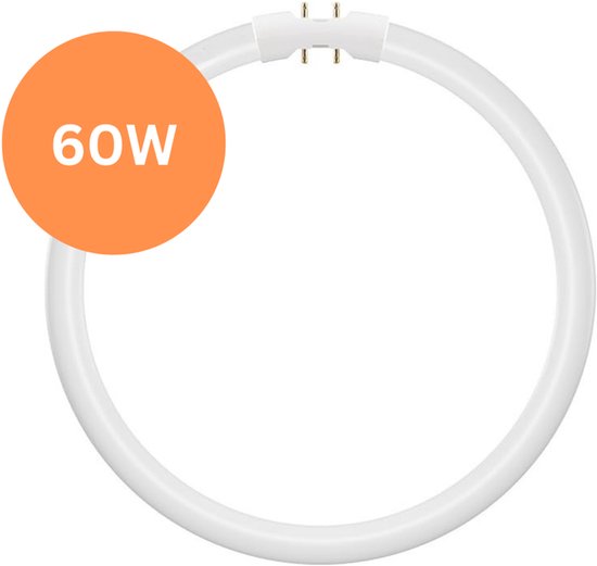 Ringvormige TL-buis van 60W. Twee metalen pinnetjes aan de bovenzijde.