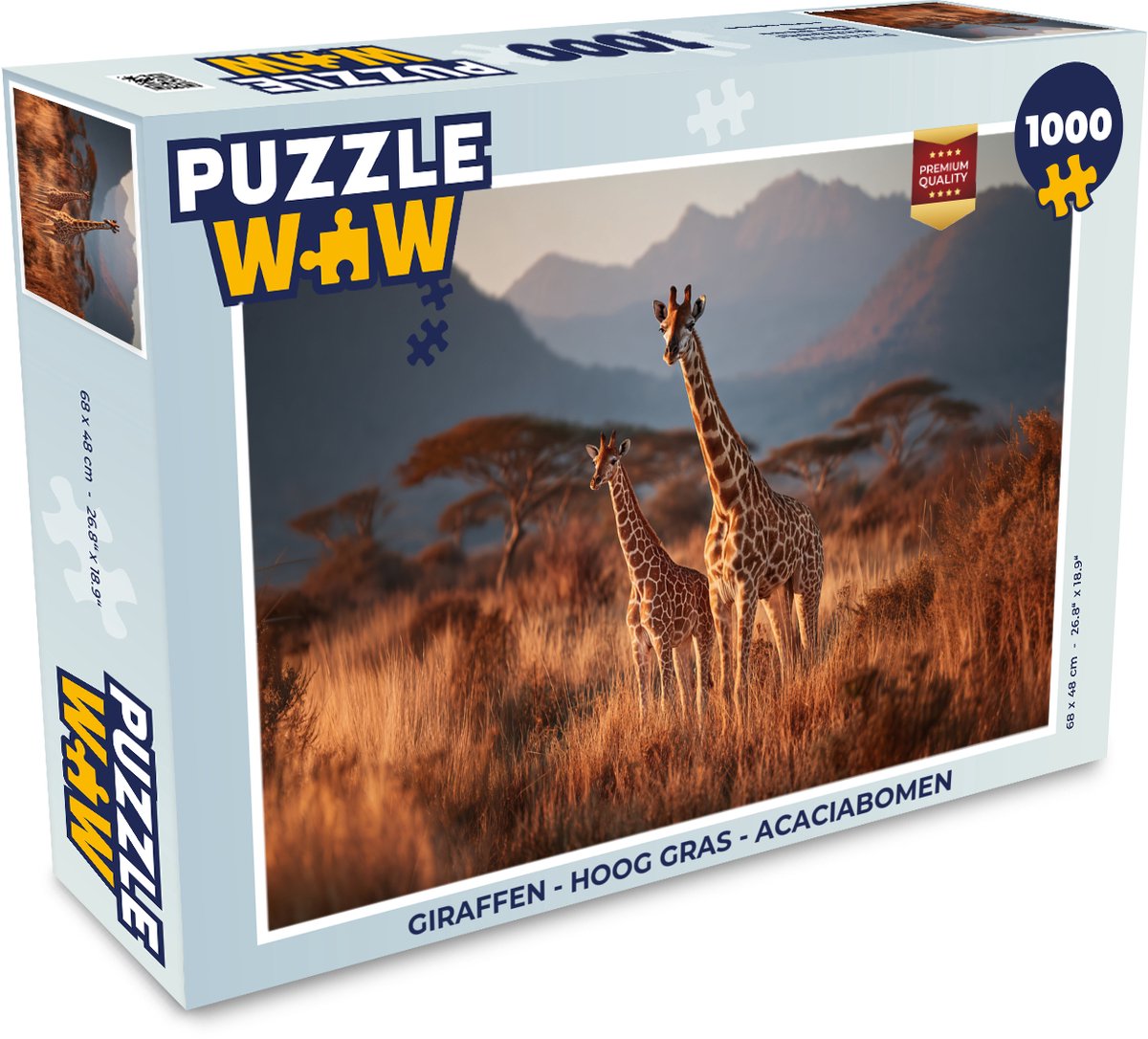 Giraffen - Hoog gras - Acaciabomen