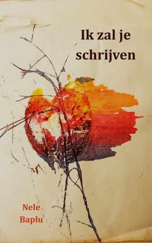 Ik zal je schrijven - Waar stilte en taal elkaar dragen