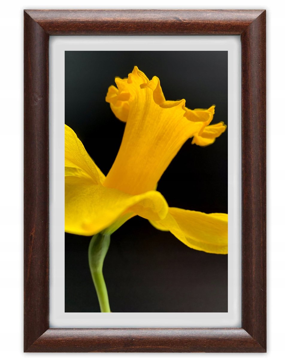 Houten Fotolijst A4 21x30cm Bruin voor Diploma's en Foto's