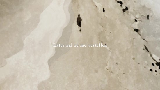 Onder duizend vlaggen