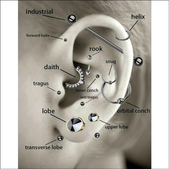 Illustratie van verschillende oor piercing locaties.
