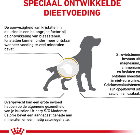 Royal Canin Veterinary Diet Urinary S/O Moderate Calorie - Hondenvoer - 12 kg