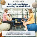 Drie mannen en een vrouw zitten op grijze en blauwe zitballen in een lichte ruimte met veel glas.