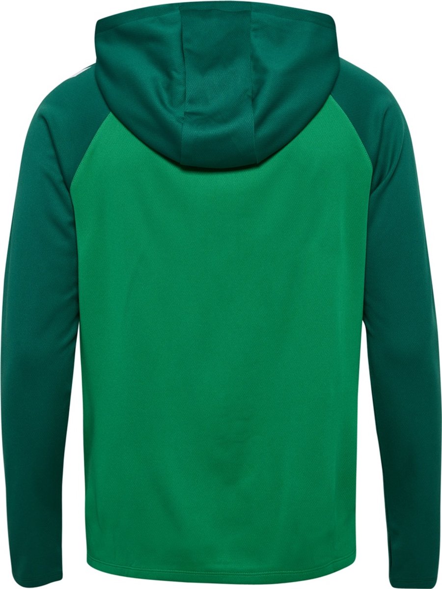 Hummel Lead 2.0 Zip Hoodie 223759 Jelly Bean/Evergreen-S