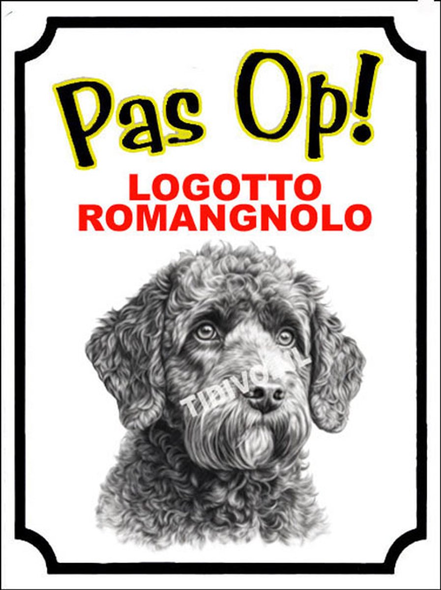 Logotto Romangnolo 16 - Met 4 Gaatjes + 4 Pluggen + 4 RVS Schroeven