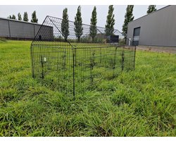 Konijnenren - Kippenren - Dierenren - WK10 Loopren Gijs - Zwart - Metalen ren - Kwaliteit - Stevig - Ruim - Groot - Konijn - Kip - Knaagdier