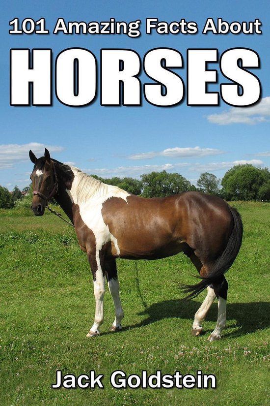 101 Amazing Facts about Horses - cover