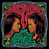 Druids Of The Gue Charette & Electric Nettles - Split (LP)