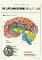 Neuroanatomie - Malatlas