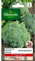 Broccoli Verdia HF1