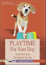 Playtime For Your Dog