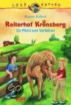 Reiterhof Kronsberg. Ein Pferd zum Verlieben