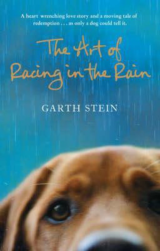 The Art of Racing in the Rain - cover