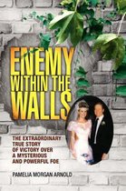 Enemy Within the Walls