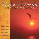 Instrumental