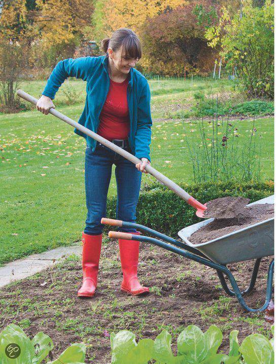 Basishandboek voor de biologische moestuin