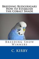 Breeding Budgerigars How to Establish the Cobalt Shade