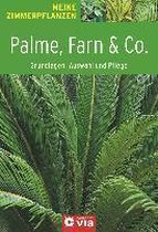 Palme, Farn & Co.