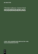 Lehr- Und Handbücher der Kultur- Und Sozialwissenschaften- Modernisierung