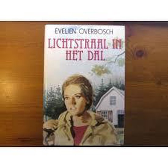 Lichtstraal in het dal - cover