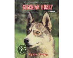 Siberian Husky - Heute