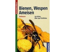 Bienen, Wespen, Ameisen