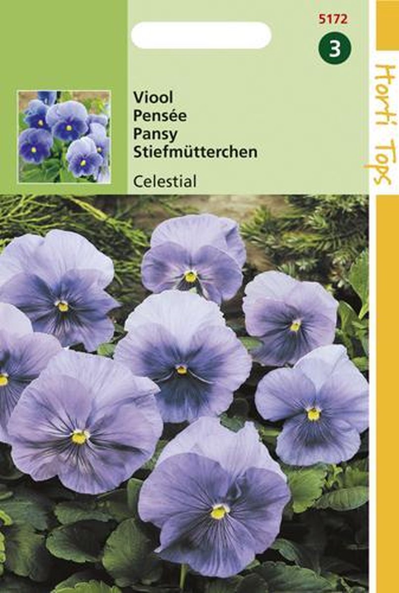 Viool Bloemzaad - Celestial