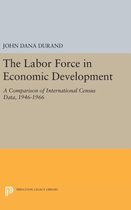 The Labor Force in Economic Development