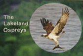 The Lakeland Ospreys