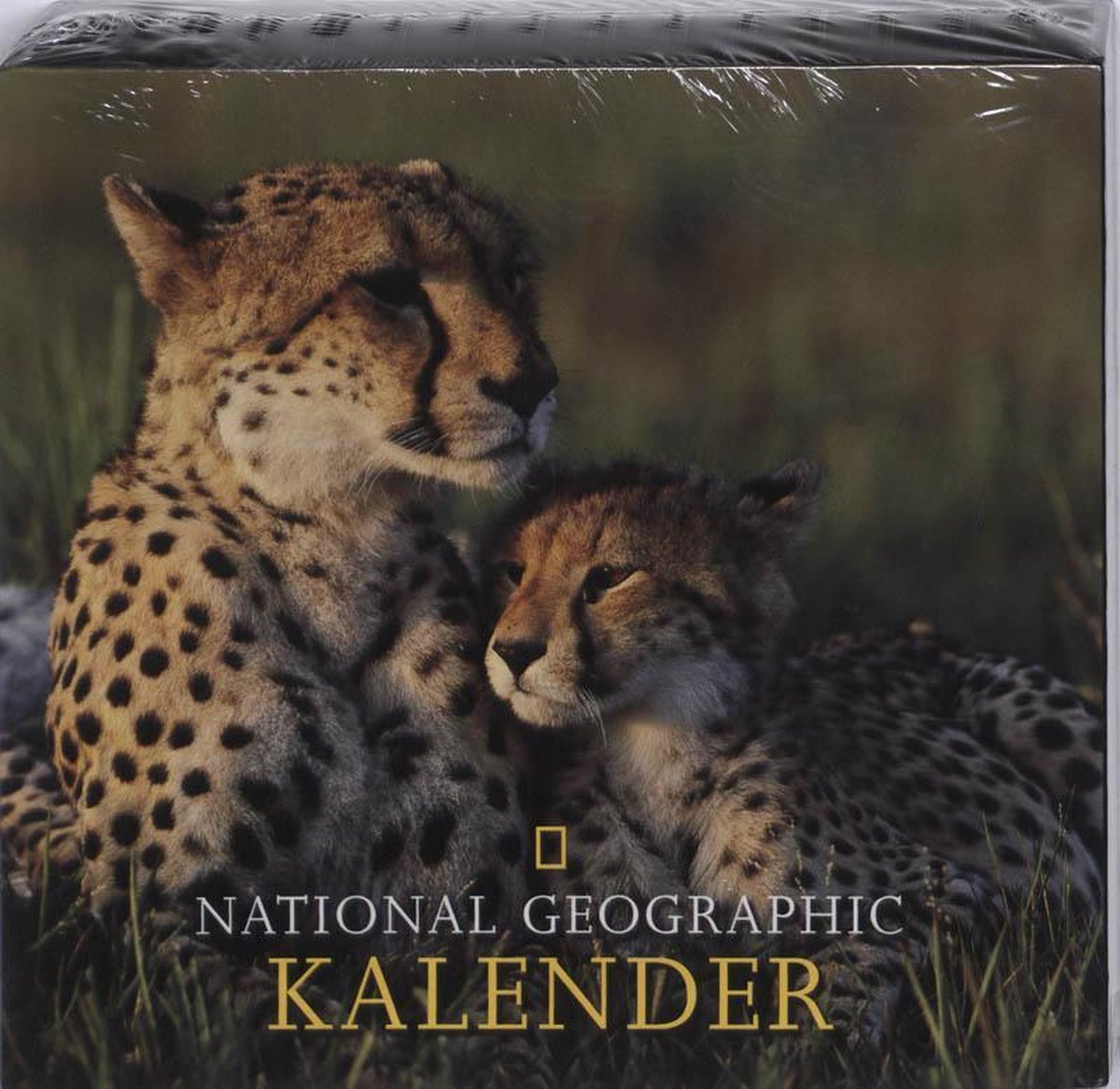 National Geographic Kalender