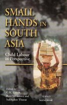 Omslag Small Hands in South Asia