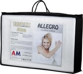 AM Product - Talalay Allego - Hoofdkussen - Latex - Soft -11/13cm