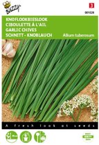 2 stuks Chinese Knoflook - Bieslook (Allium tuberosum)