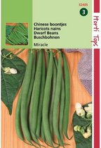 Hortitops zaden - Struikprinsessenbonen Miracle Chinese boontjes 25 gram