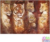 Diamond Painting "JobaStores®" Katachtigen - volledig - 50x70cm