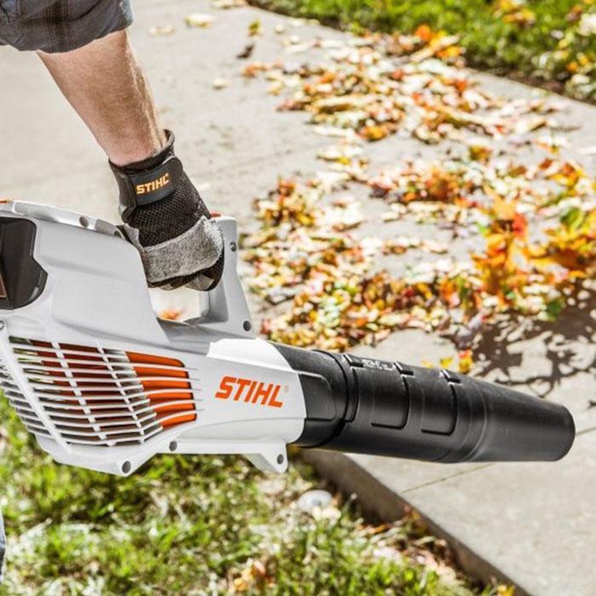 Samenwerking Schildknaap Symfonie Stihl BGA 56 Accu bladblazer - 36V | bol.com