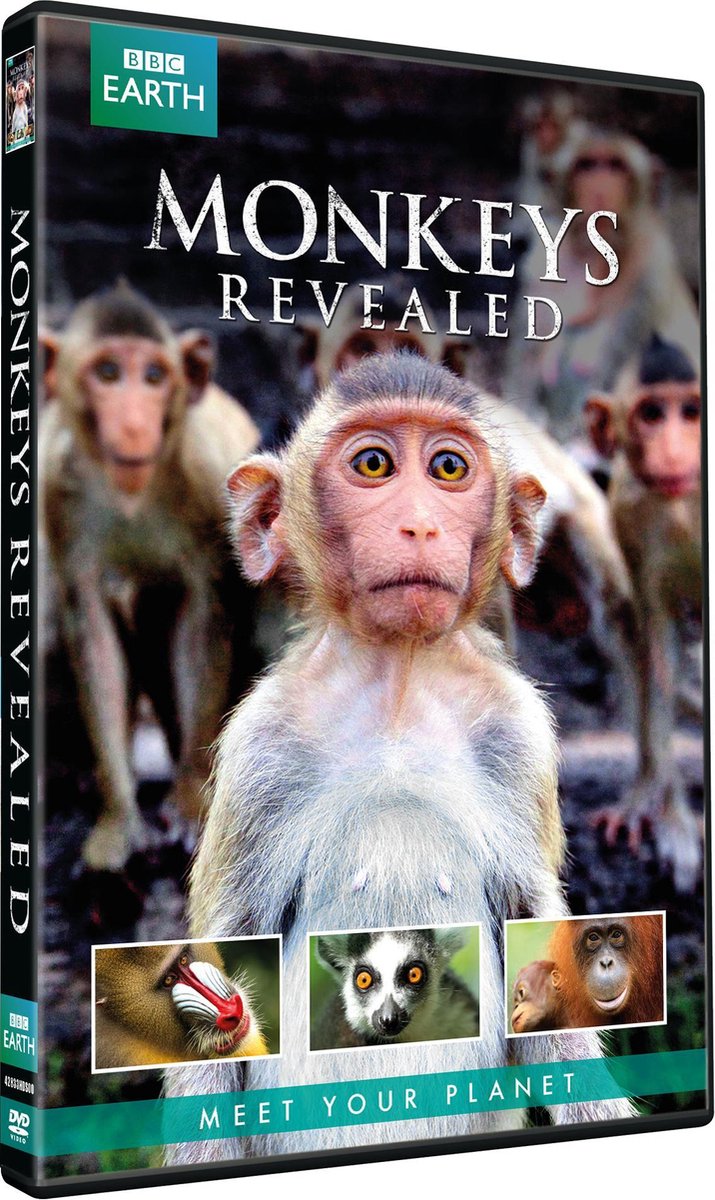 BBC Earth Monkeys Revealed (Dvd) Dvd