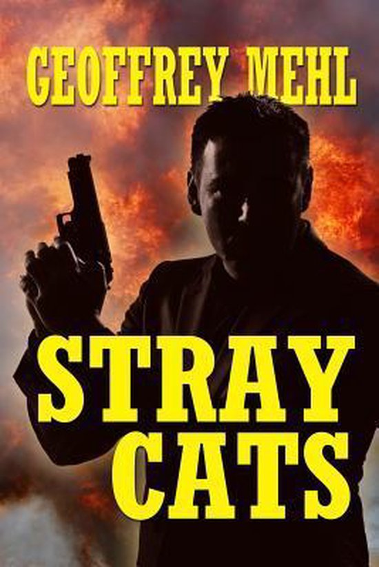 Stray Cats - cover