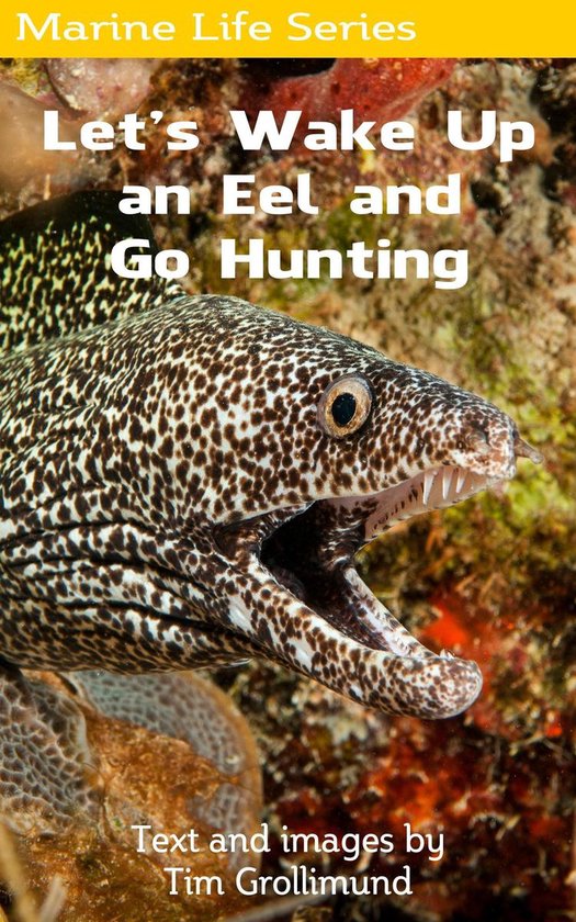 Marine Life - Let's Wake Up an Eel and Go Hunting - cover