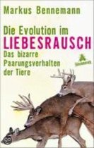 Die Evolution Im Liebesrausch